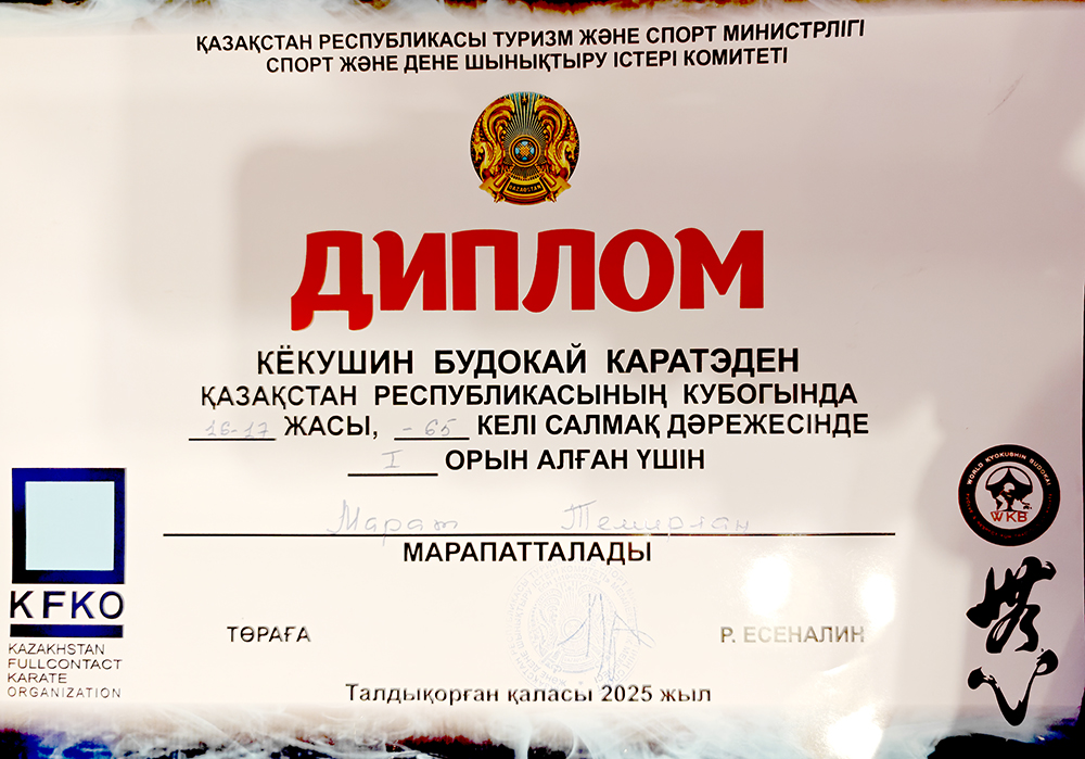 Кубок Казахстана 2025